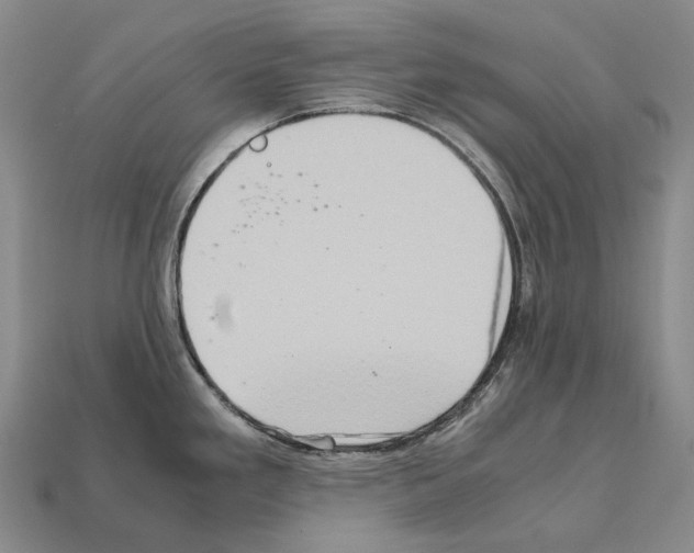 X0000111901293200909071128