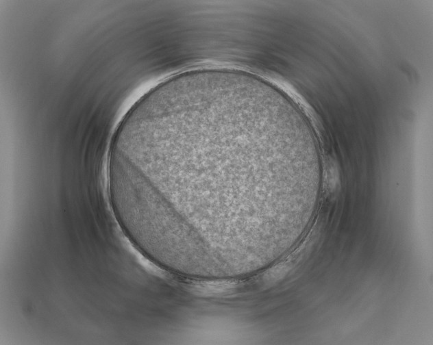 X0000111901294200909071128