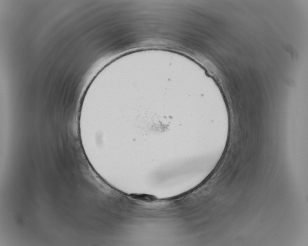 X0000111901296200909071128