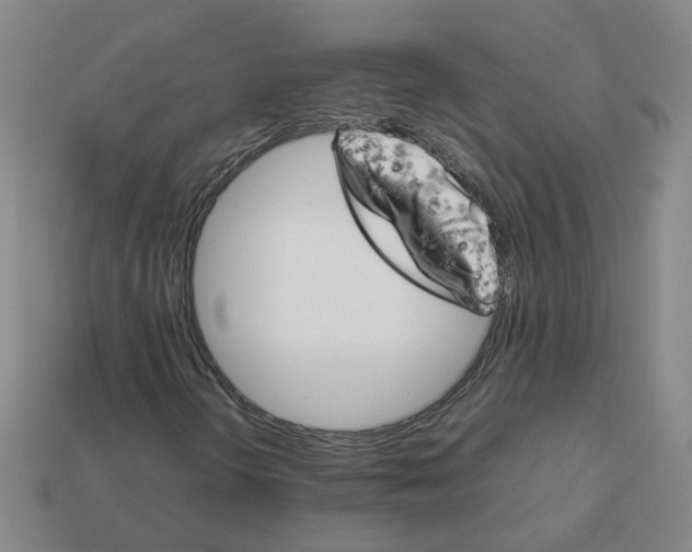 X0000111901298200909071128