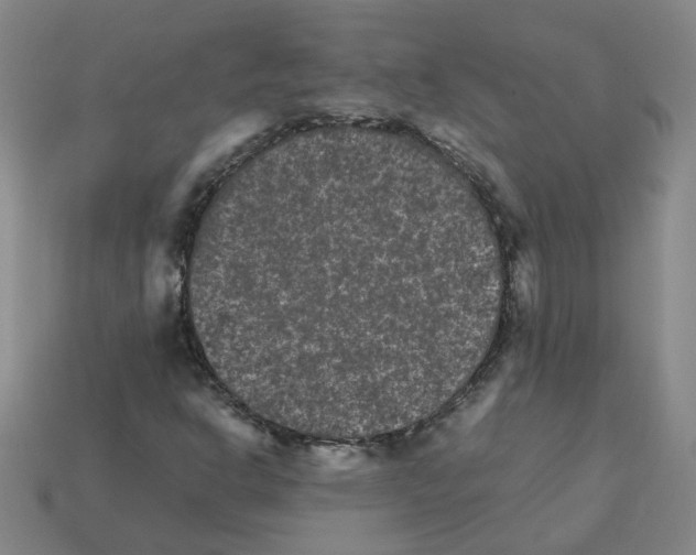 X0000111901302200909071128