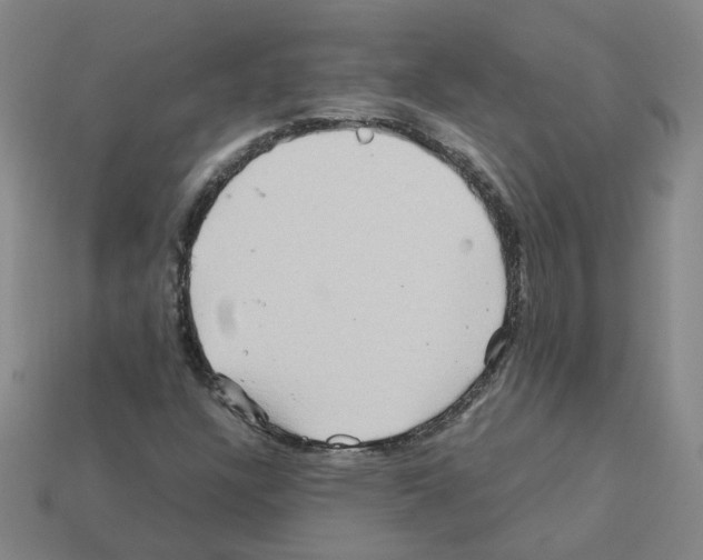 X0000111901304200909071128