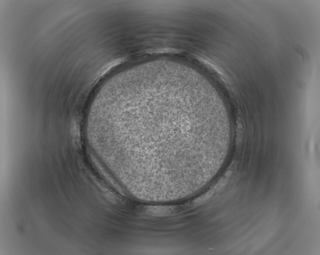 X0000111901305200909071128