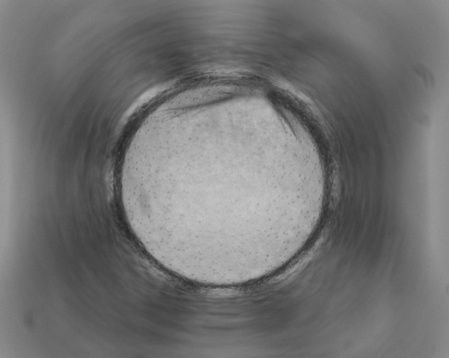 X0000111901306200909071128