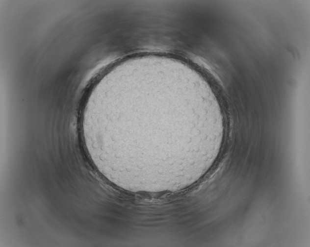 X0000111901307200909071128