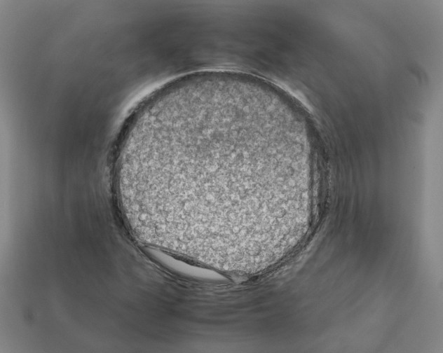 X0000111901311200909071128