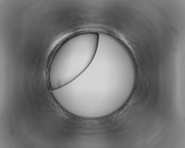 X0000111901312200909071128