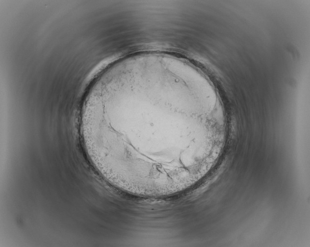 X0000111901314200909071128