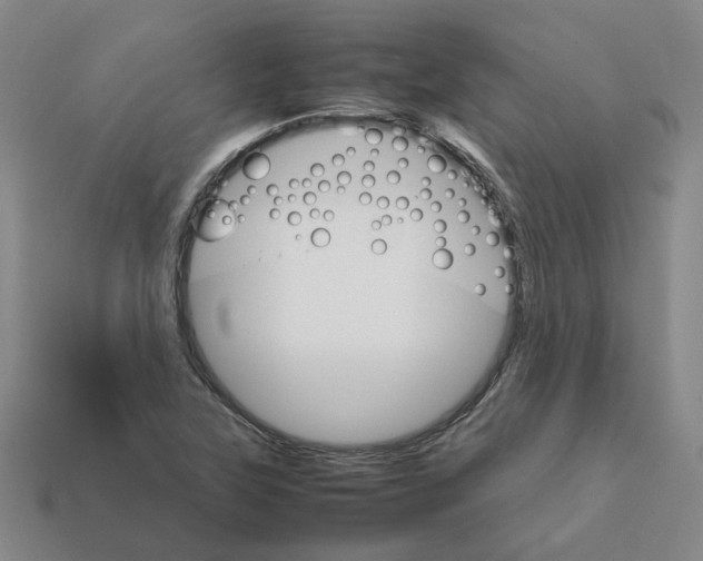 X0000111901315200909071128