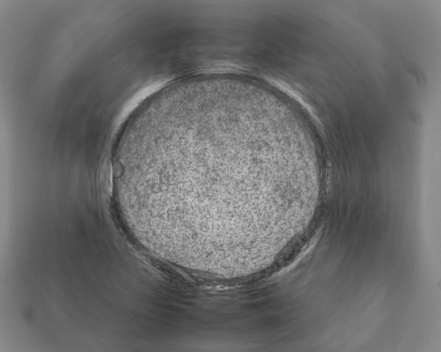 X0000111901317200909071128