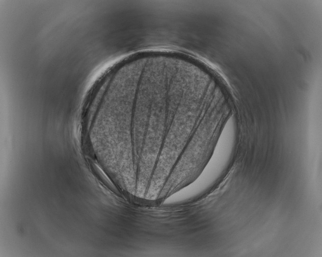 X0000111901319200909071128