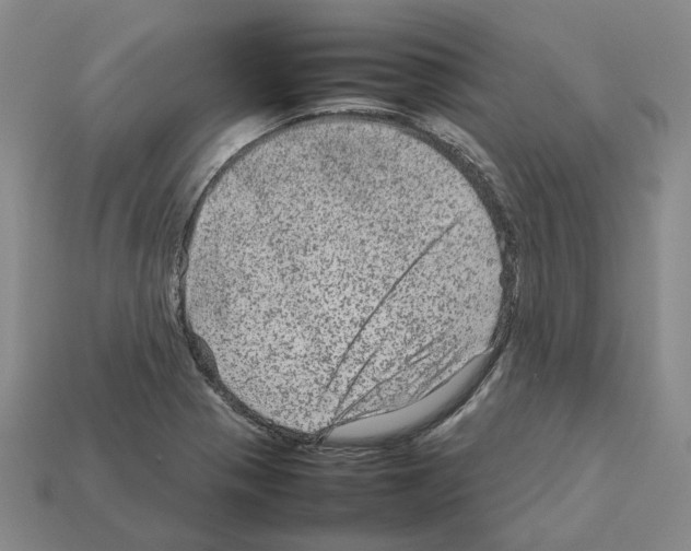 X0000111901321200909071128