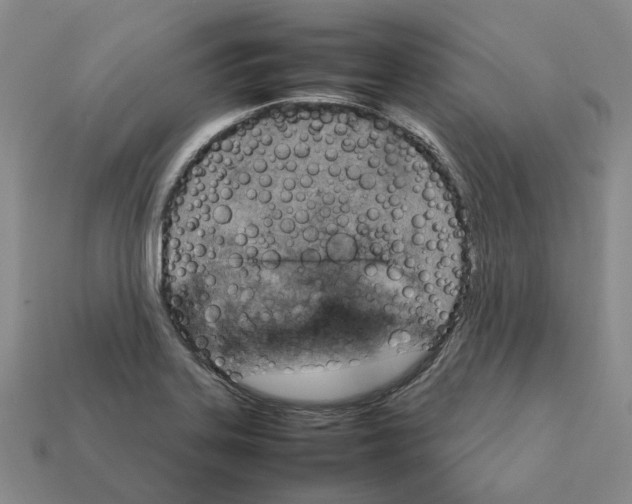 X0000111901323200909071128