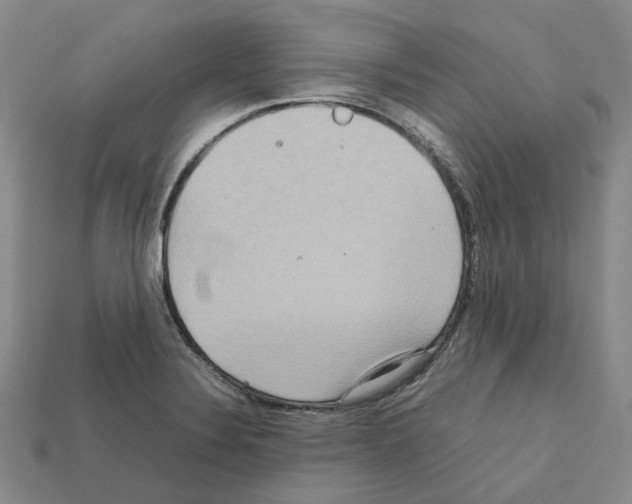 X0000111901324200909071128