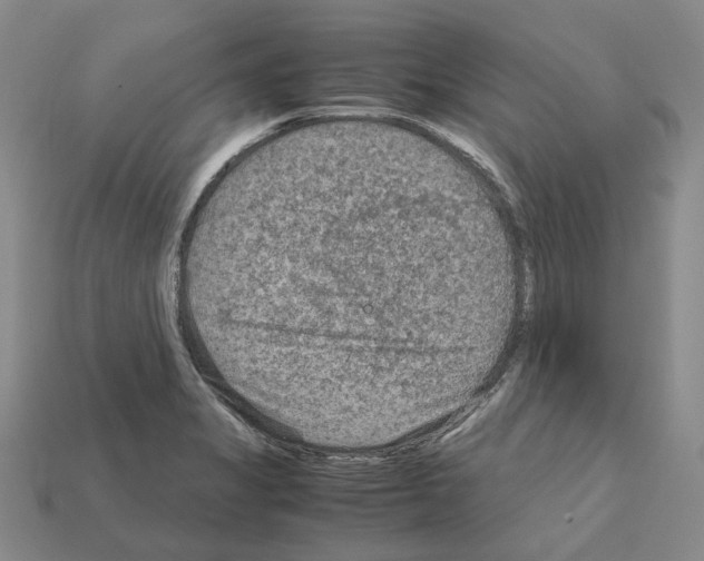 X0000111901325200909071128