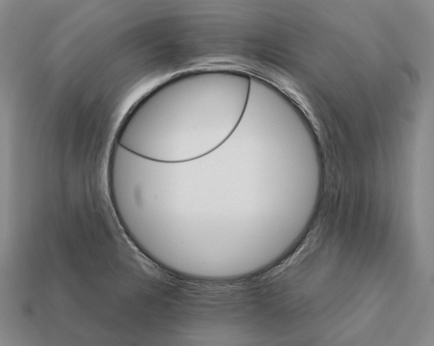 X0000111901328200909071128