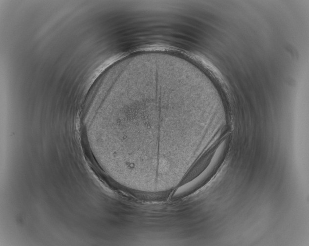 X0000111901329200909071128