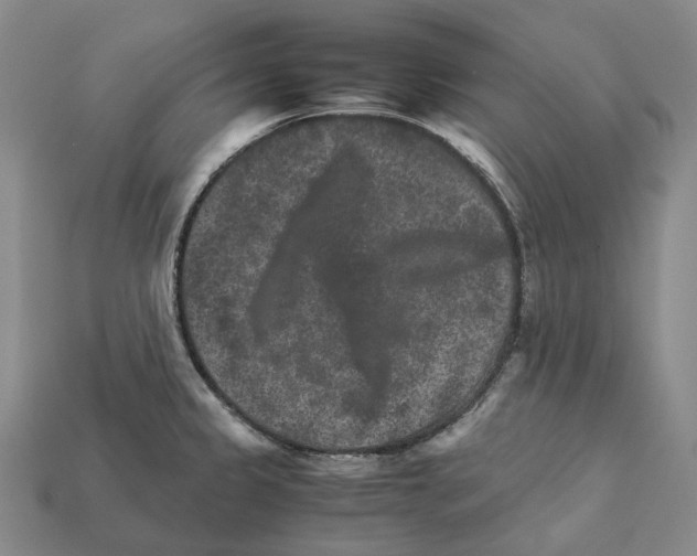 X0000111901333200909071128