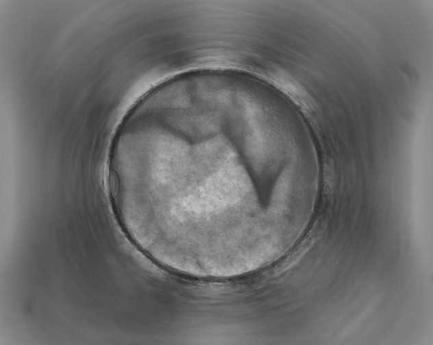 X0000111901334200909071128