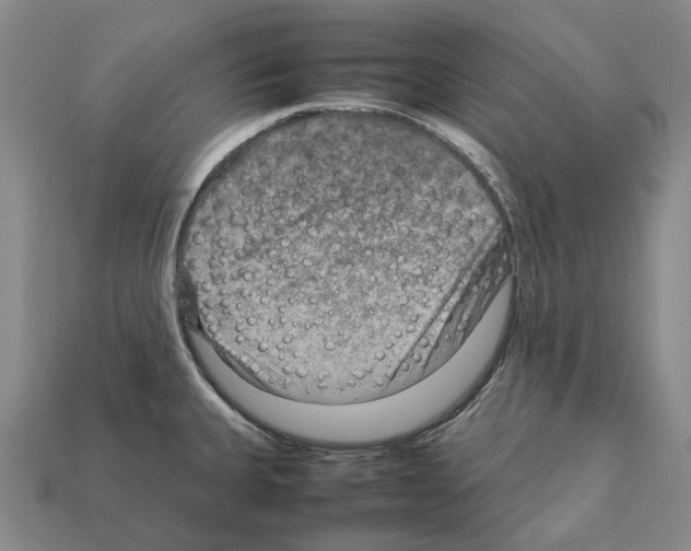 X0000111901335200909071128