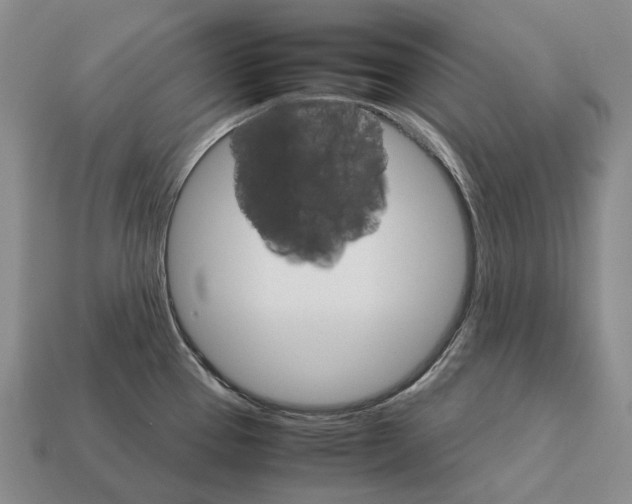 X0000111901337200909071128