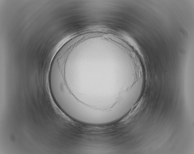 X0000111901338200909071128