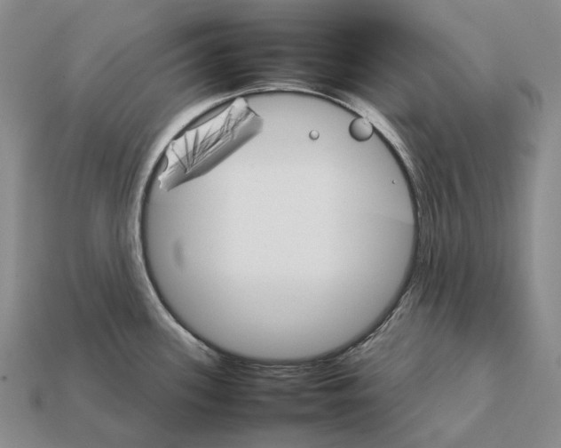 X0000111901339200909071128