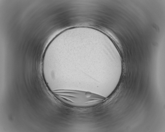 X0000111901340200909071128