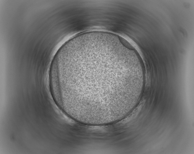 X0000111901341200909071128