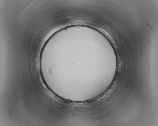 X0000111901342200909071128