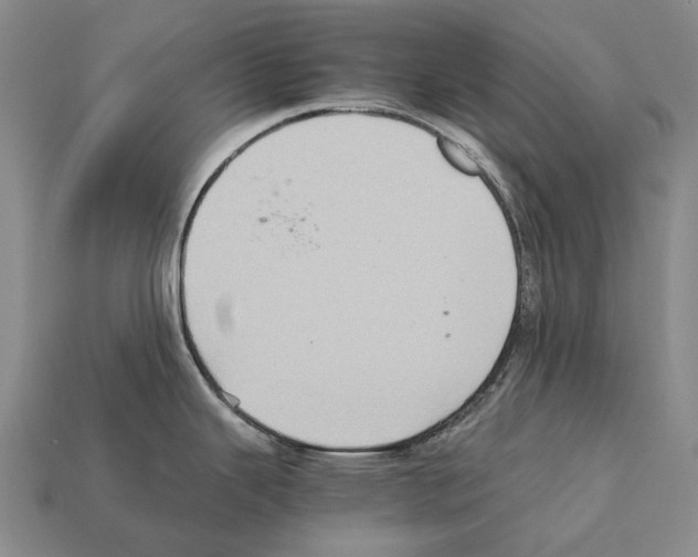 X0000111901343200909071128