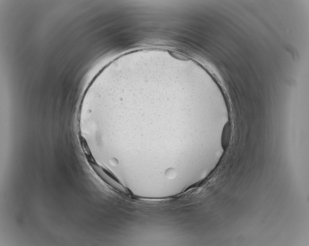 X0000111901344200909071128