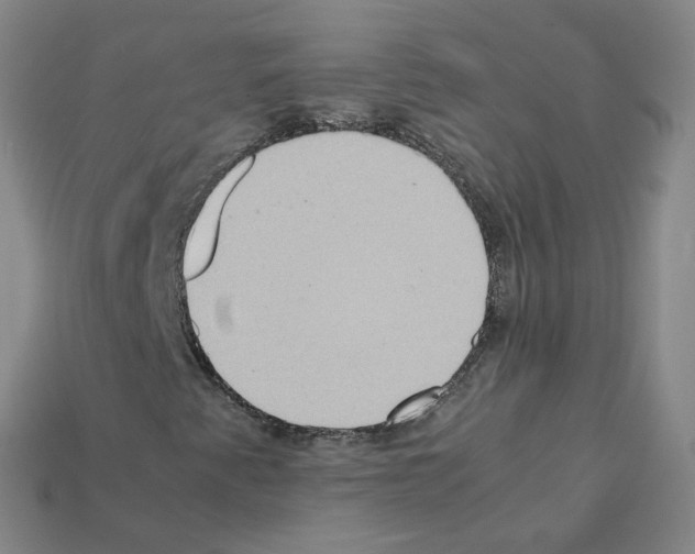 X0000111901345200909071128