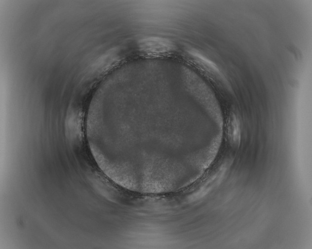 X0000111901346200909071128