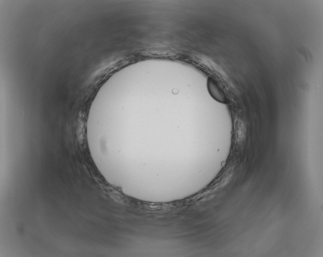 X0000111901350200909071128