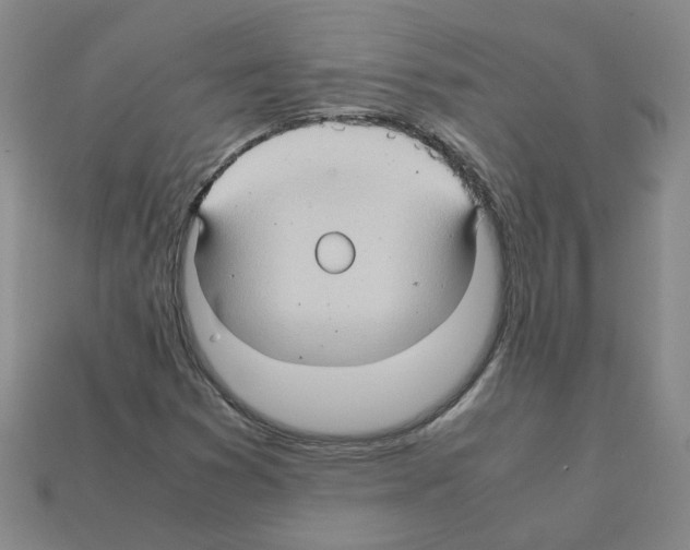 X0000111901353200909071127