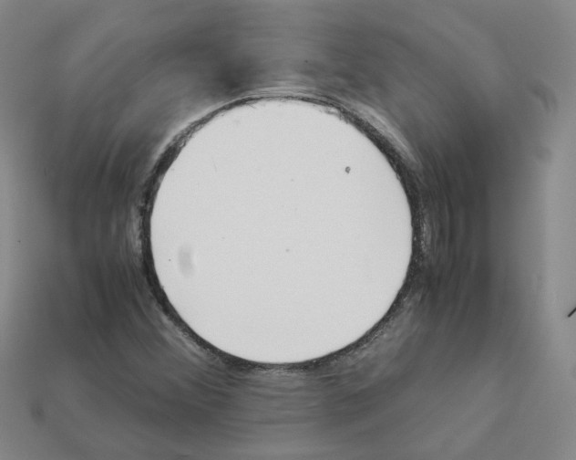 X0000111901356200909071127