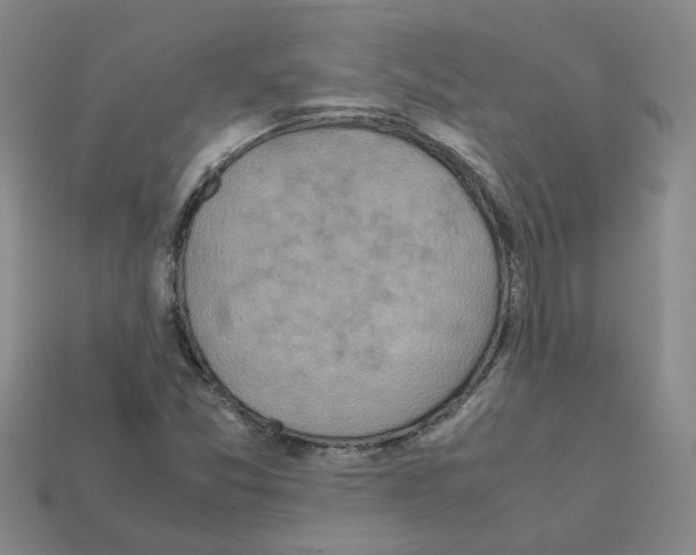 X0000111901357200909071127