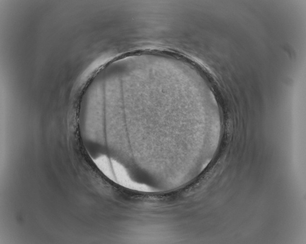 X0000111901359200909071127