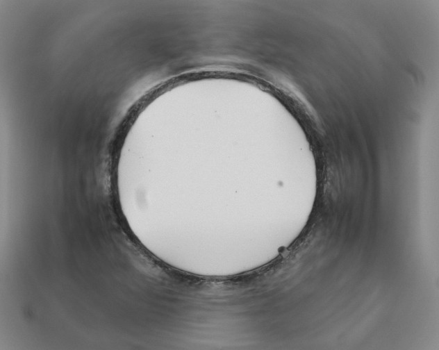 X0000111901360200909071127