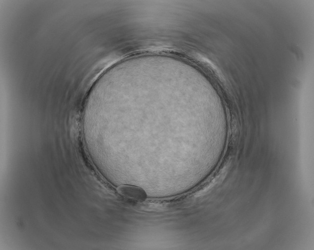 X0000111901361200909071127