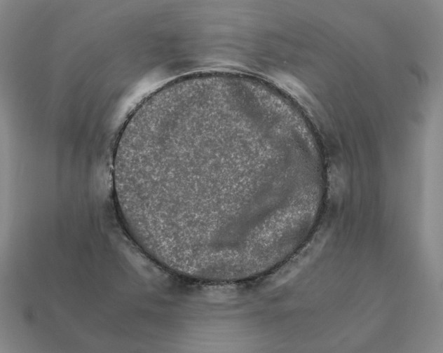 X0000111901363200909071127