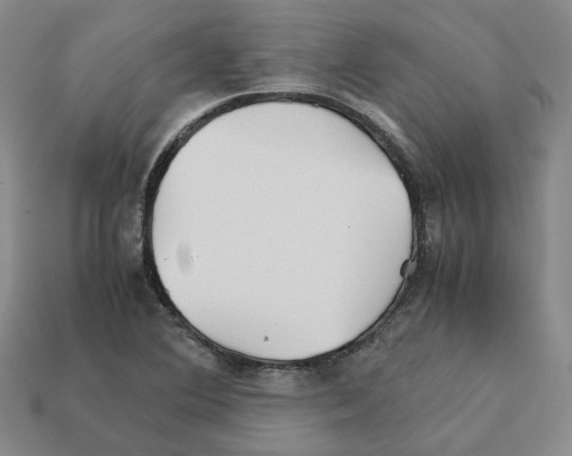 X0000111901364200909071127