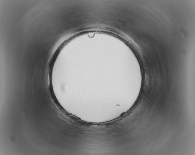 X0000111901368200909071127