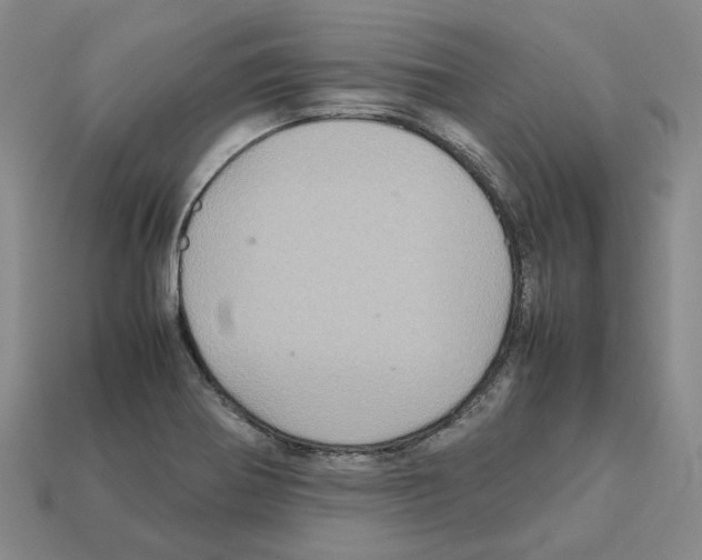 X0000111901370200909071127