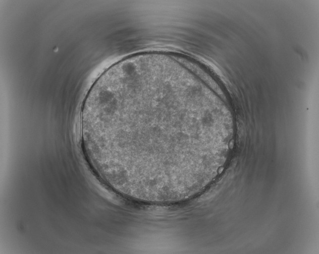 X0000111901371200909071127