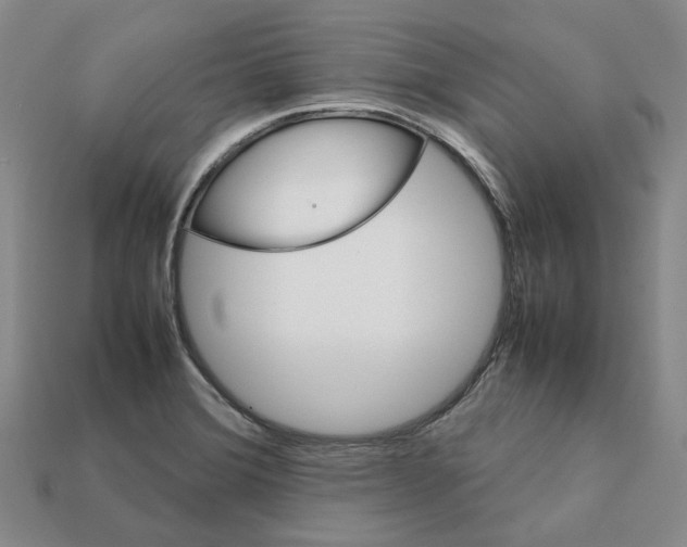 X0000111901372200909071127