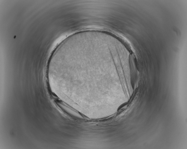 X0000111901373200909071127