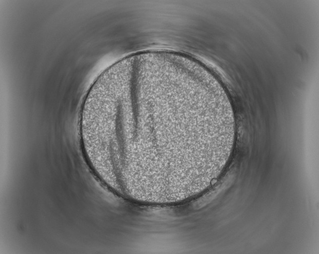 X0000111901375200909071127