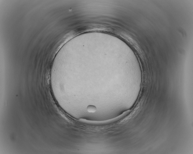 X0000111901377200909071127